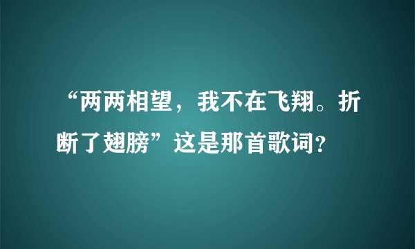 “两两相望，我不在飞翔。折断了翅膀”这是那首歌词？