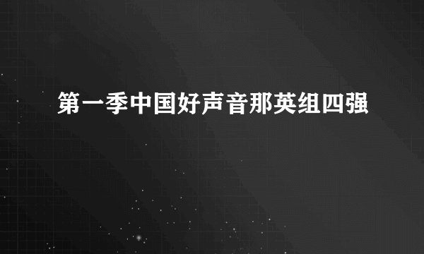 第一季中国好声音那英组四强