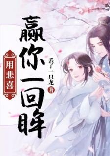 凤梧黎渊哪部小说的？