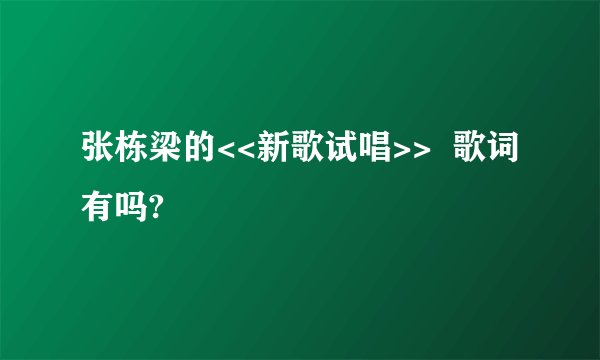 张栋梁的<<新歌试唱>>  歌词有吗?