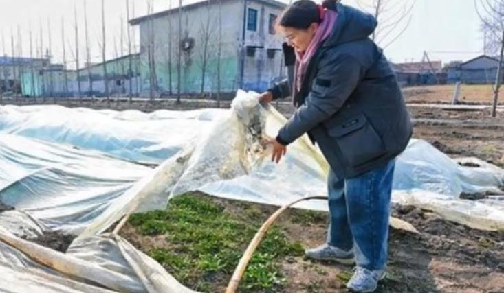 幼师转行新农人年入500万 引起网友羡慕!