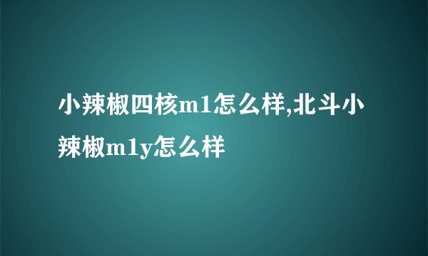 小辣椒四核m1怎么样,北斗小辣椒m1y怎么样