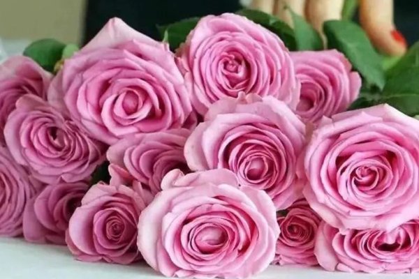 二十一朵玫瑰花的花语是什么意思