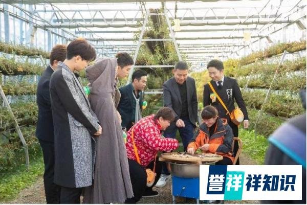 青春环游记3热播 共享温州铁定溜溜乐园