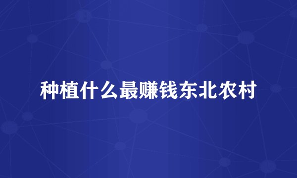 种植什么最赚钱东北农村