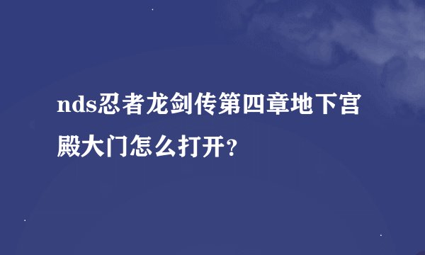 nds忍者龙剑传第四章地下宫殿大门怎么打开?