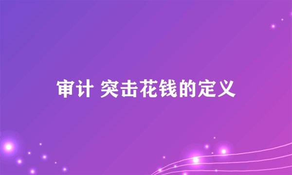 审计 突击花钱的定义