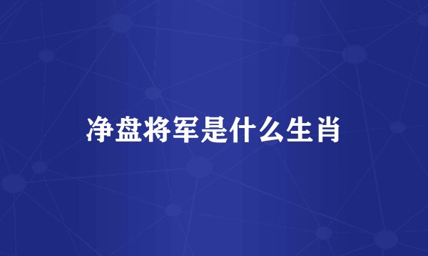 净盘将军是什么生肖