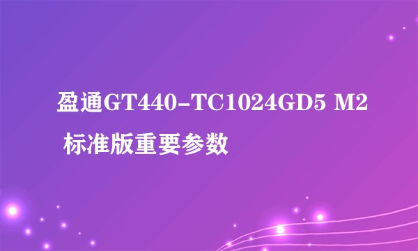 盈通GT440-TC1024GD5 M2 标准版重要参数