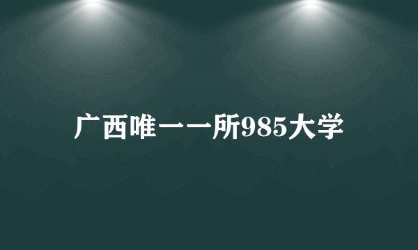 广西唯一一所985大学
