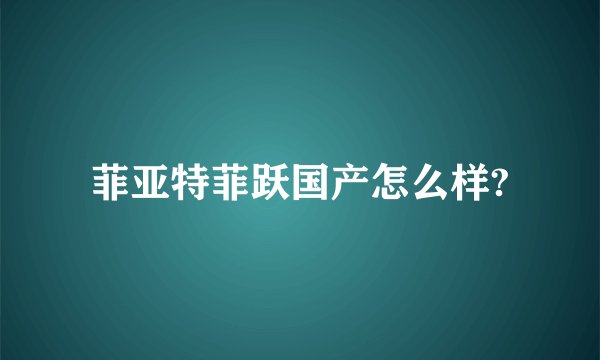 菲亚特菲跃国产怎么样?