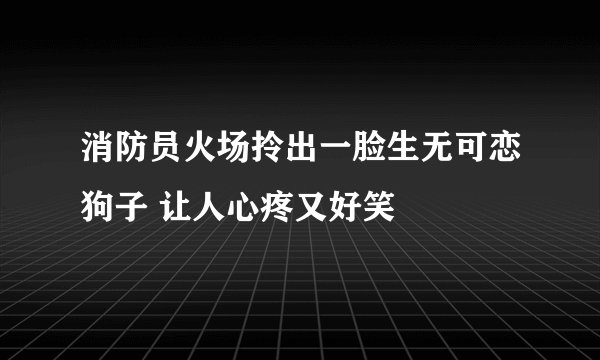 消防员火场拎出一脸生无可恋狗子 让人心疼又好笑
