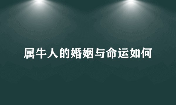 属牛人的婚姻与命运如何