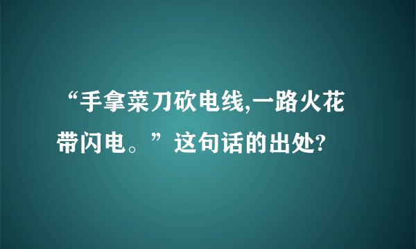 “手拿菜刀砍电线,一路火花带闪电。”这句话的出处?
