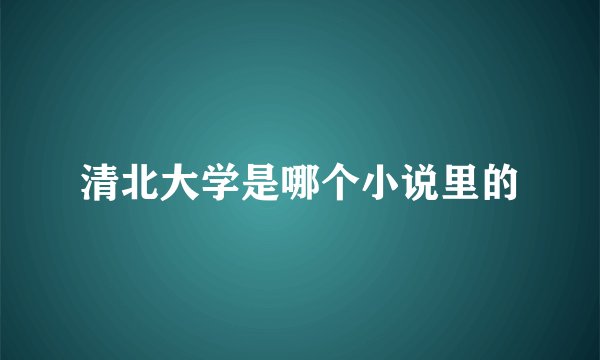 清北大学是哪个小说里的