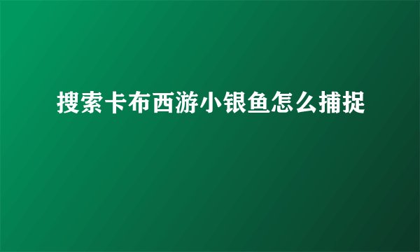 搜索卡布西游小银鱼怎么捕捉