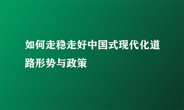 如何走稳走好中国式现代化道路形势与政策