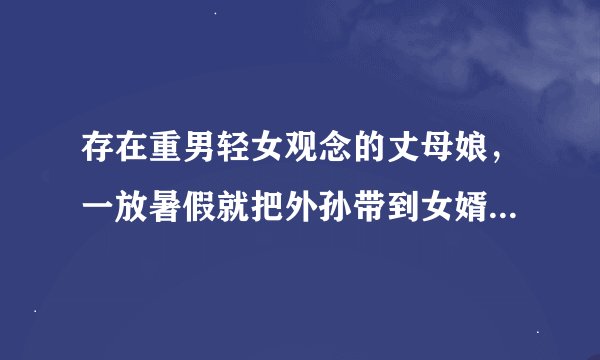 存在重男轻女观念的丈母娘,一放暑假就把外孙带到女婿家去玩,她真的不了解女婿不喜欢自己吗?
