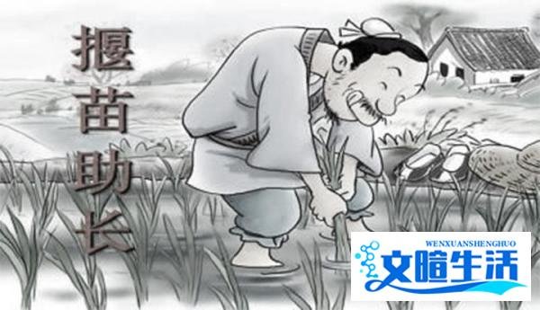 【孔子箴言故事】中庸哲理——欲速则不达