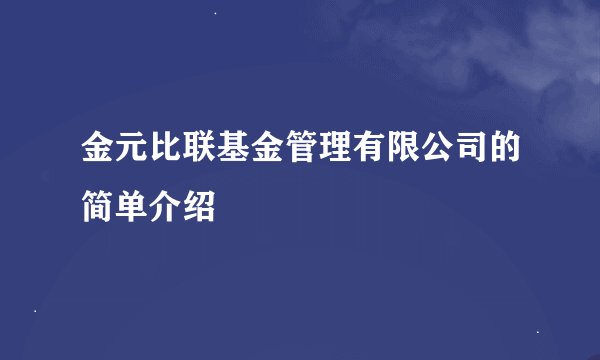 金元比联基金管理有限公司的简单介绍