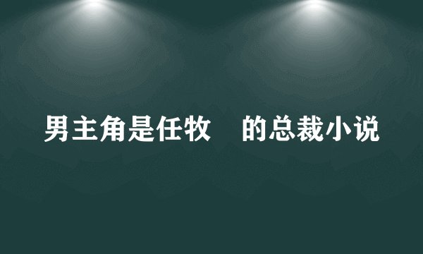 男主角是任牧矅的总裁小说