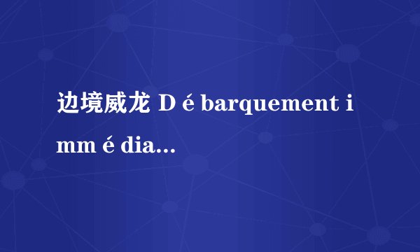 边境威龙 Débarquement immédiat!剧情介绍