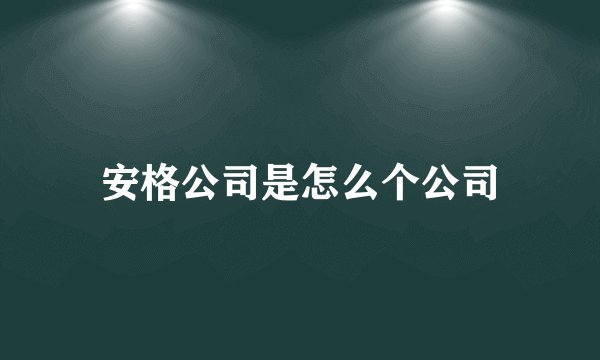 安格公司是怎么个公司