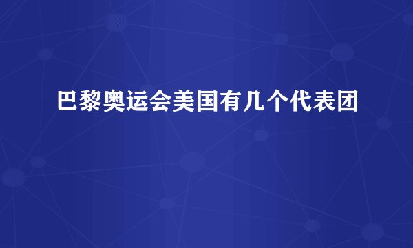 巴黎奥运会美国有几个代表团