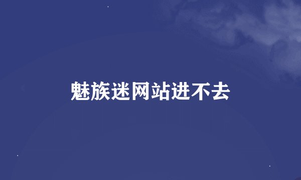 魅族迷网站进不去