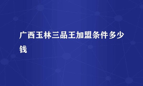 广西玉林三品王加盟条件多少钱