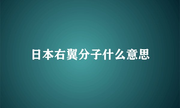 日本右翼分子什么意思