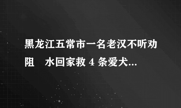 黑龙江五常市一名老汉不听劝阻蹚水回家救 4 条爱犬， 不幸溺亡，如何看待此事？