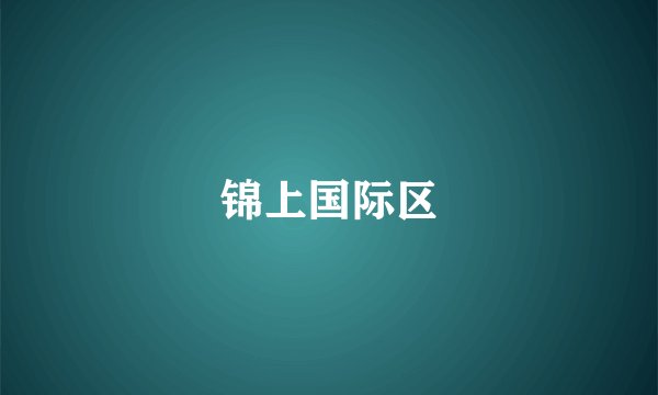 锦上国际区