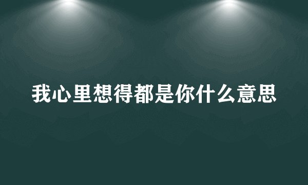 我心里想得都是你什么意思