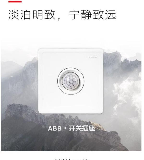 2024年十大感应开关品牌排名