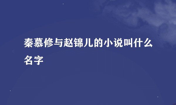 秦慕修与赵锦儿的小说叫什么名字