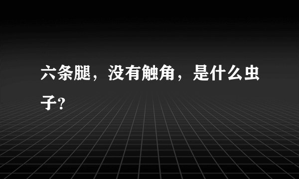 六条腿,没有触角,是什么虫子?