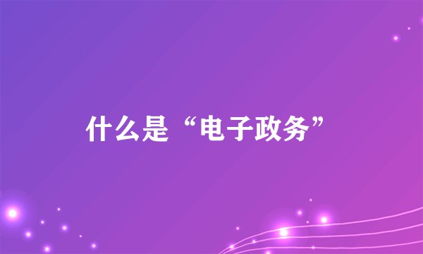 什么是“电子政务”