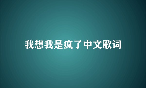 我想我是疯了中文歌词