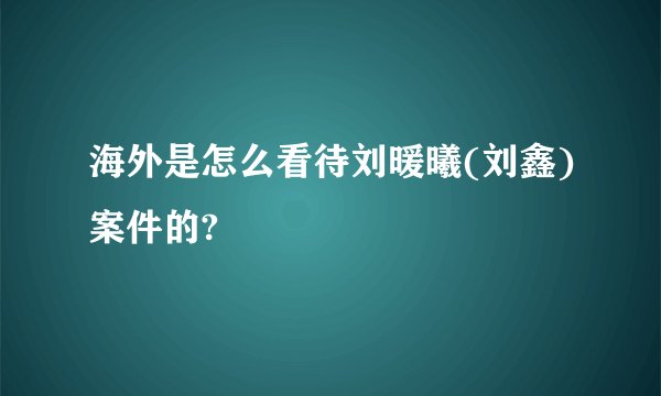海外是怎么看待刘暖曦(刘鑫)案件的?