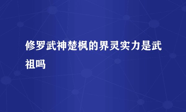 修罗武神楚枫的界灵实力是武祖吗