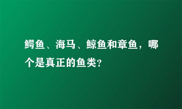 鳄鱼、海马、鲸鱼和章鱼，哪个是真正的鱼类？