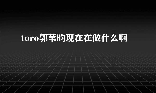 toro郭苇昀现在在做什么啊