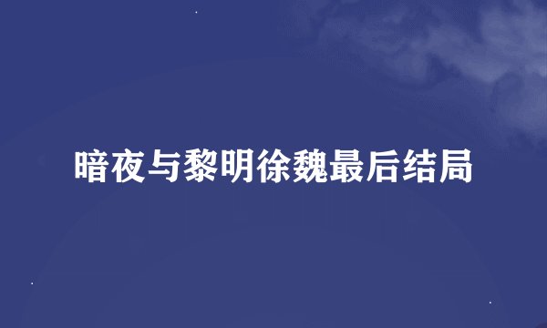 暗夜与黎明徐魏最后结局