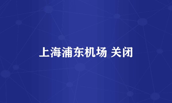 上海浦东机场 关闭