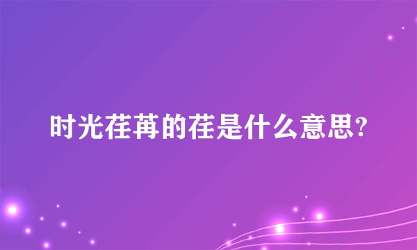 时光荏苒的荏是什么意思?