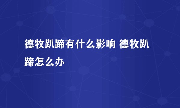 德牧趴蹄有什么影响 德牧趴蹄怎么办