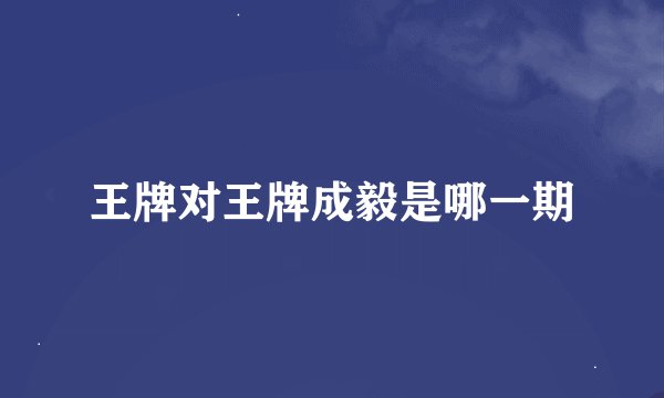 王牌对王牌成毅是哪一期
