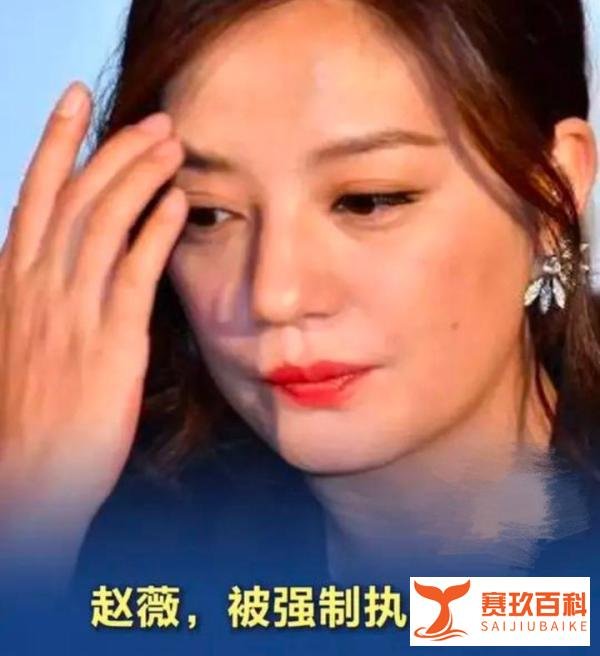 赵薇及公司被强制执行14177元