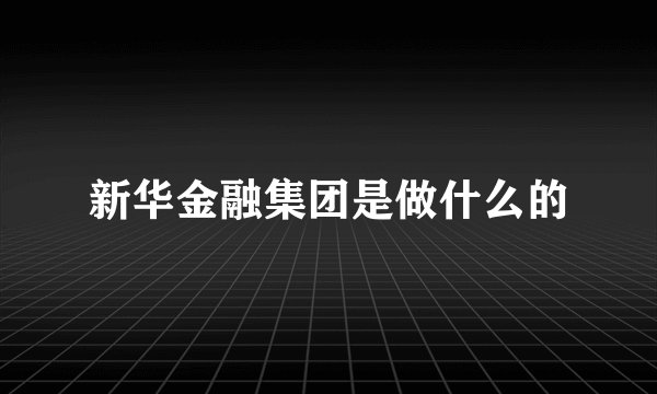 新华金融集团是做什么的